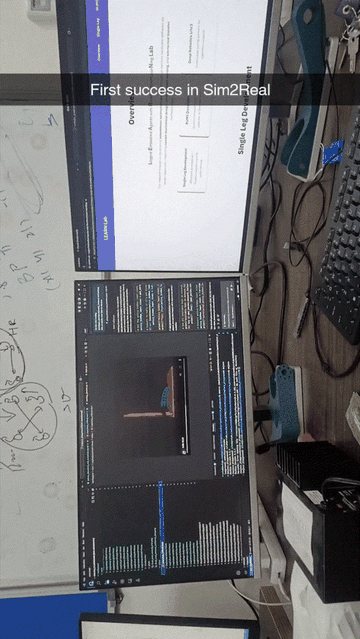 Dual-leg sim-to-real gait experiment